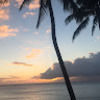 cathy_bixler